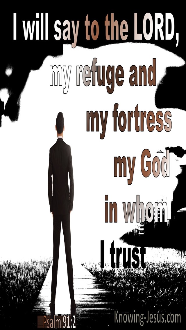 Psalm 91:2 God My Refuge And Fortress (black)